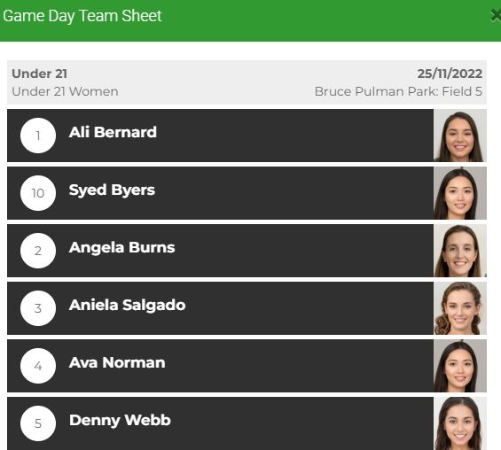 game_day_team_widget.JPG