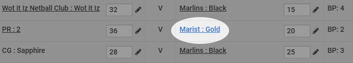 scorer_comments.JPG