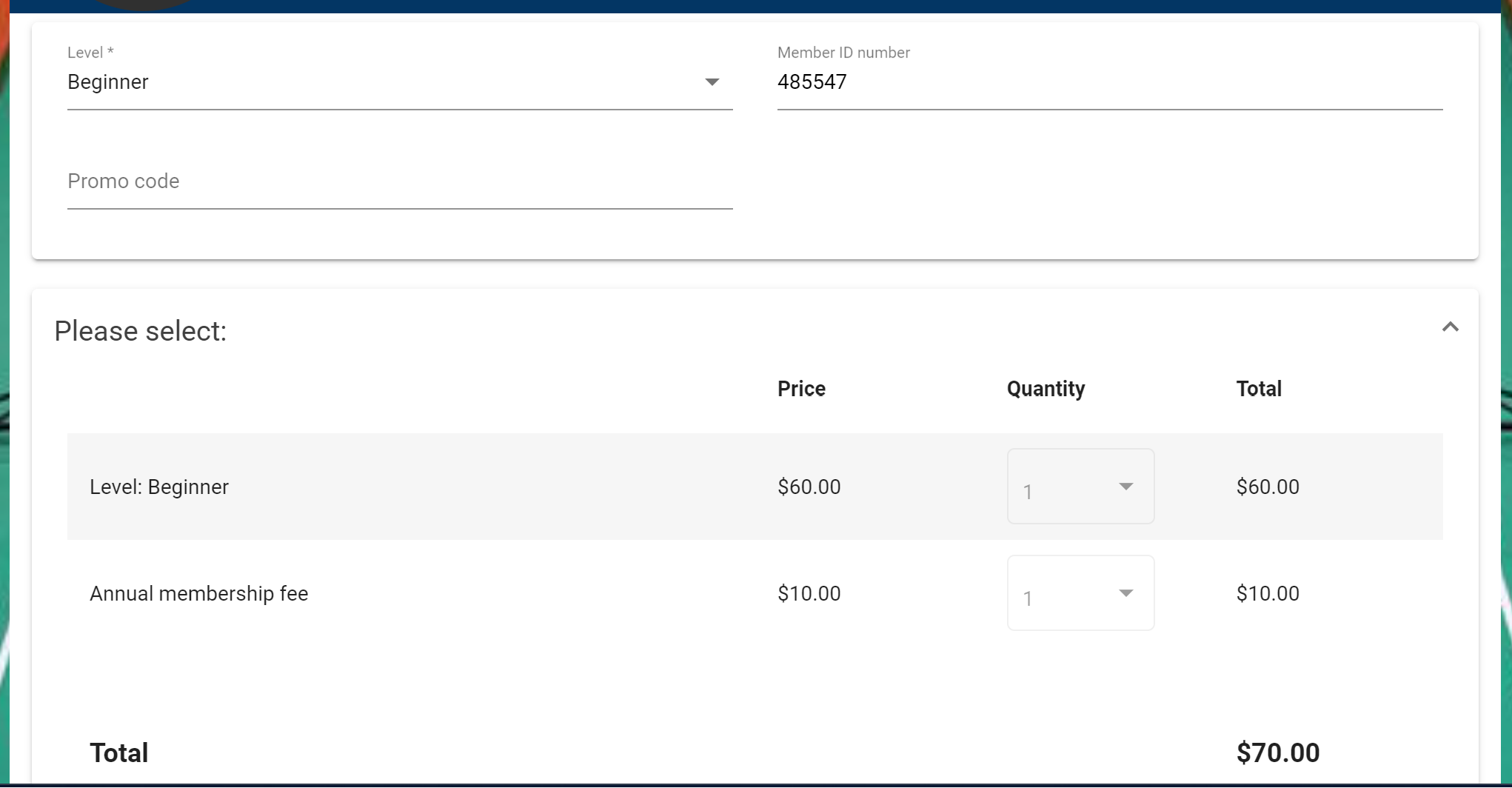 products before promo code.png