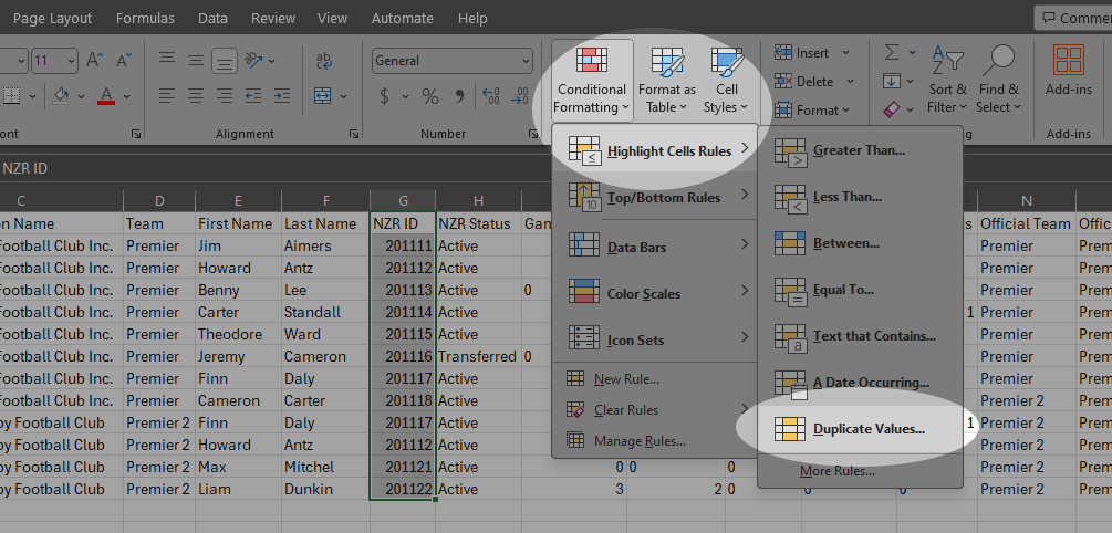 conditional formatiing reportx.png