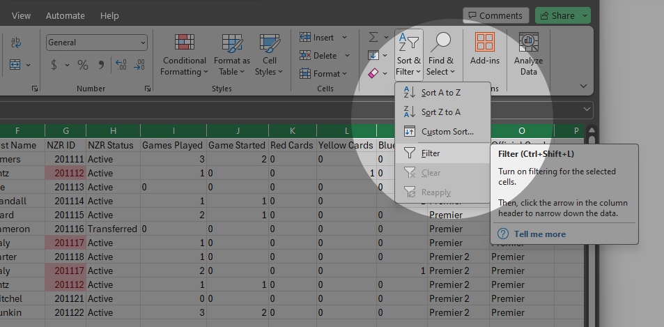 filter on conditional forming x.png