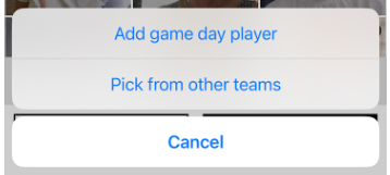 mynetballapp - add a player optionsx.png