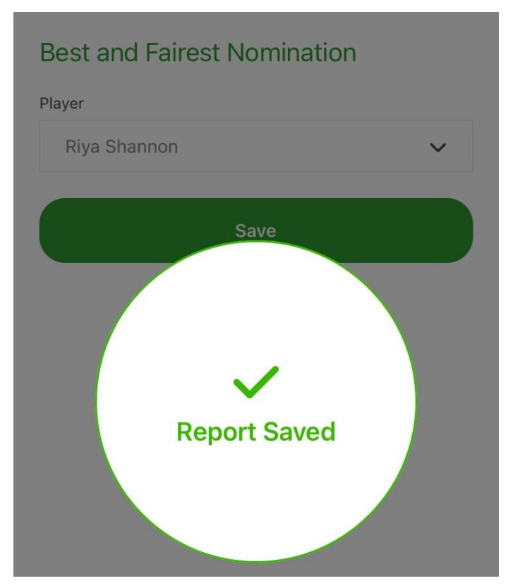 Fixture Report - report saved.png
