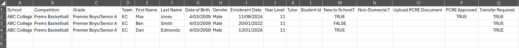 Premier team report example pt1.png