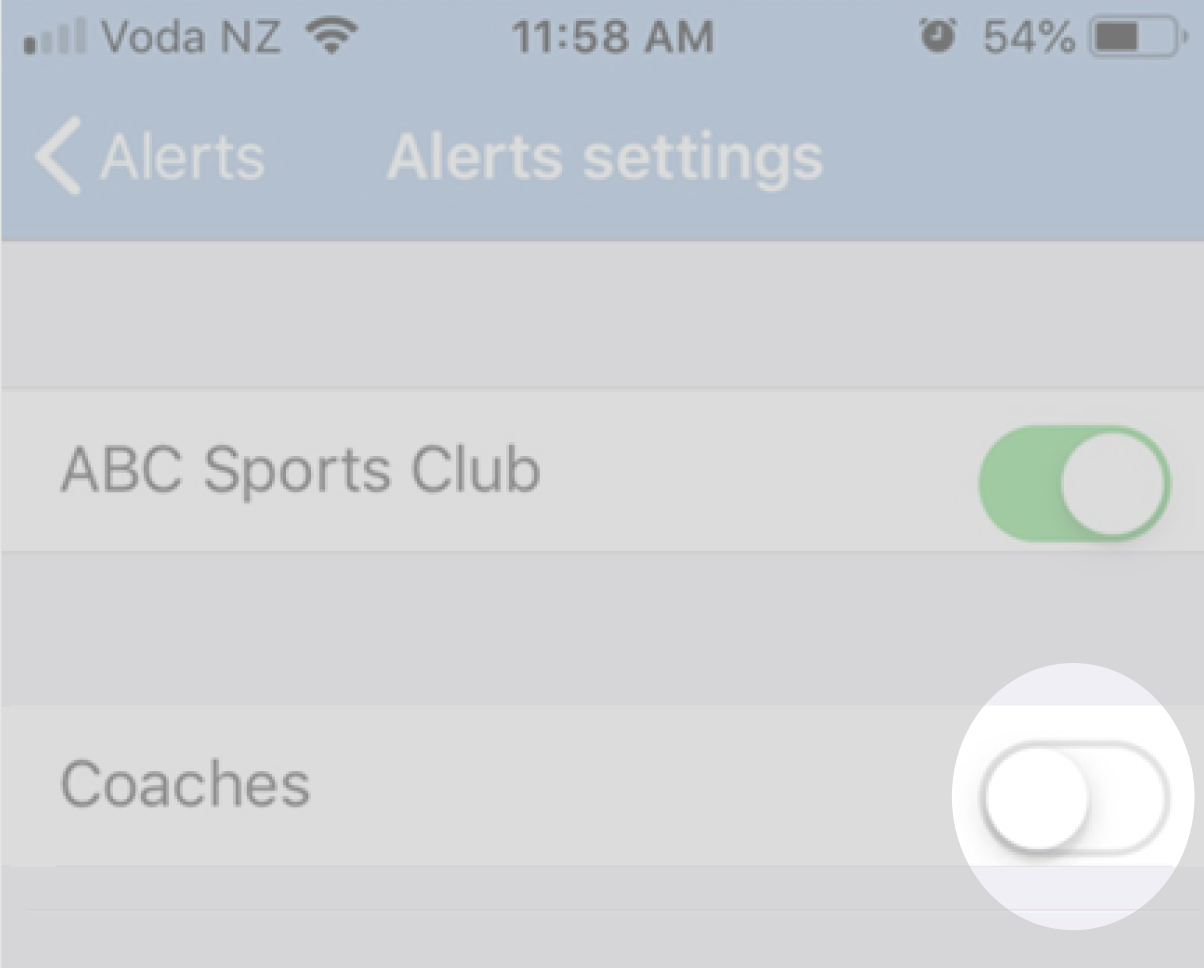 Screen_Shot_2021-12-15_at_12.13.06_PM.png
