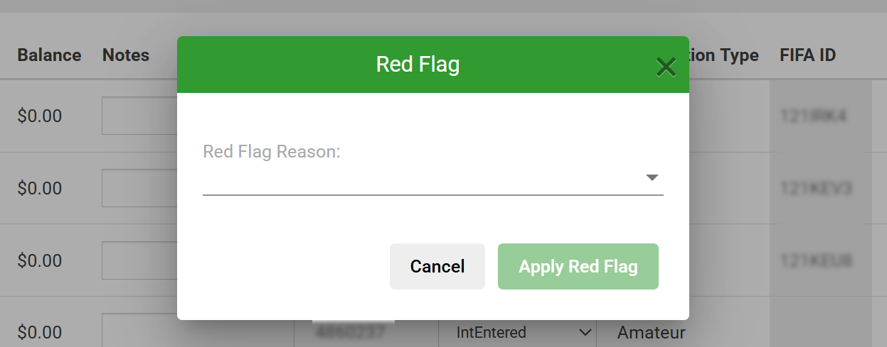 red flag prompt.png
