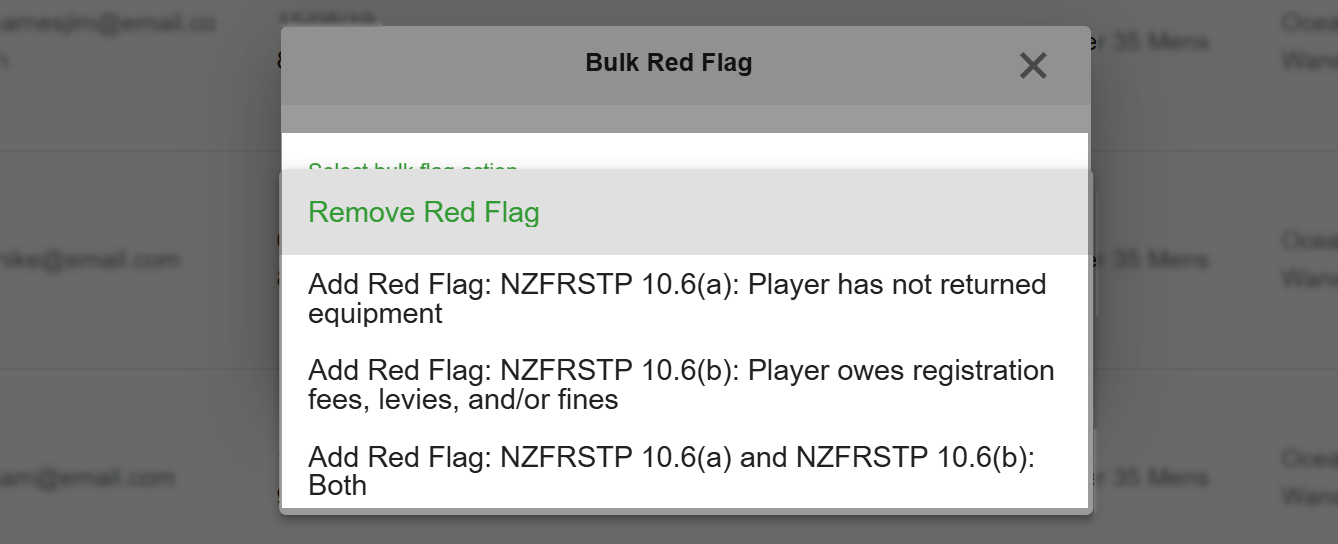 red flag bulk optionsx.png