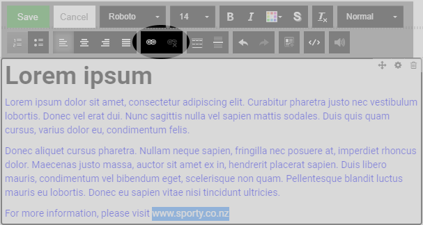 Text_Widget_3.png